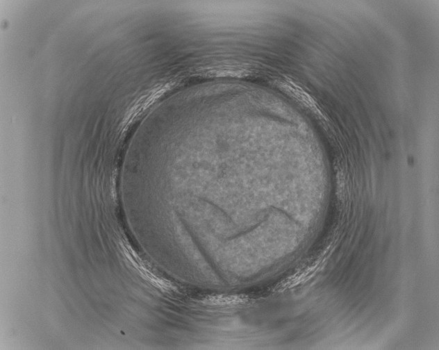 X0000058760537200510211700