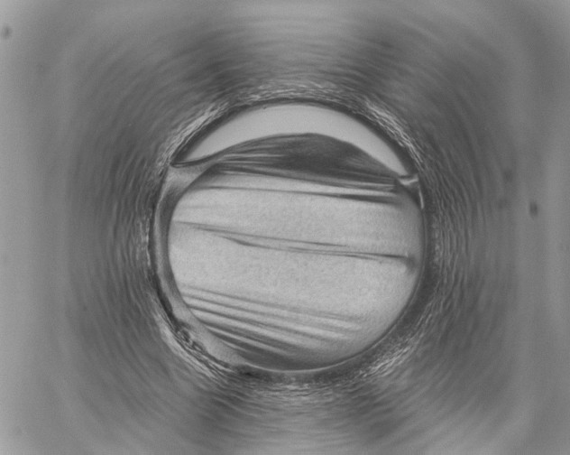 X0000058760538200510211700