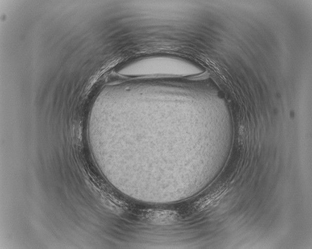 X0000058760539200510211700