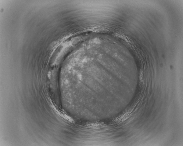 X0000058760540200510211700