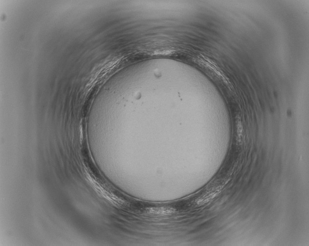 X0000058760541200510211700