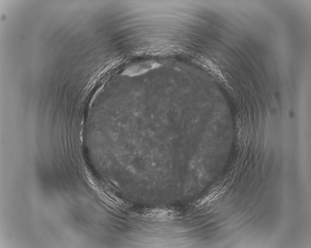 X0000058760542200510211700