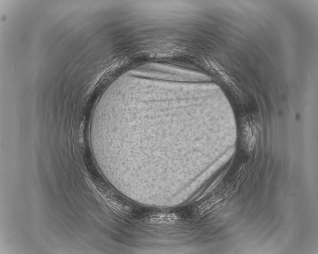 X0000058760543200510211700