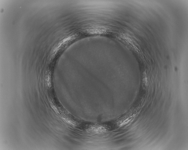 X0000058760547200510211700