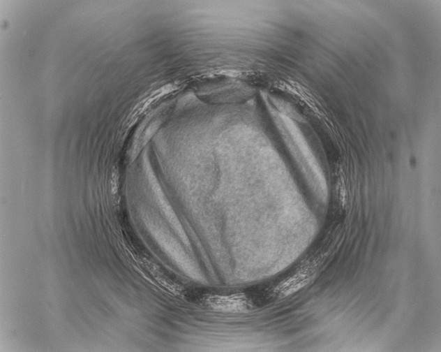 X0000058760548200510211700