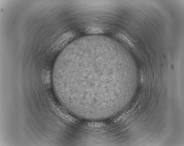 X0000058760549200510211700