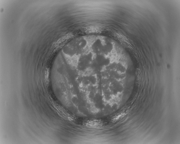 X0000058760550200510211700