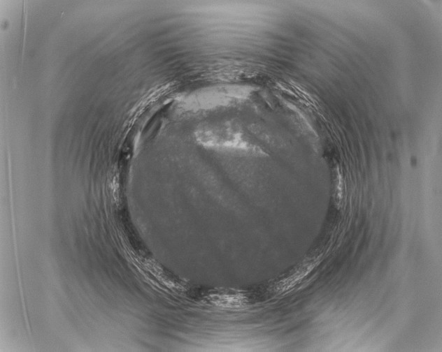 X0000058760552200510211700