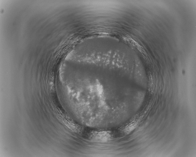 X0000058760553200510211700