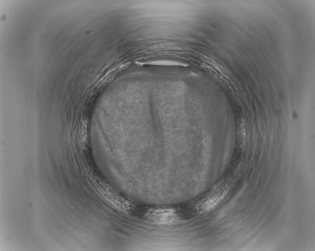 X0000058760554200510211700