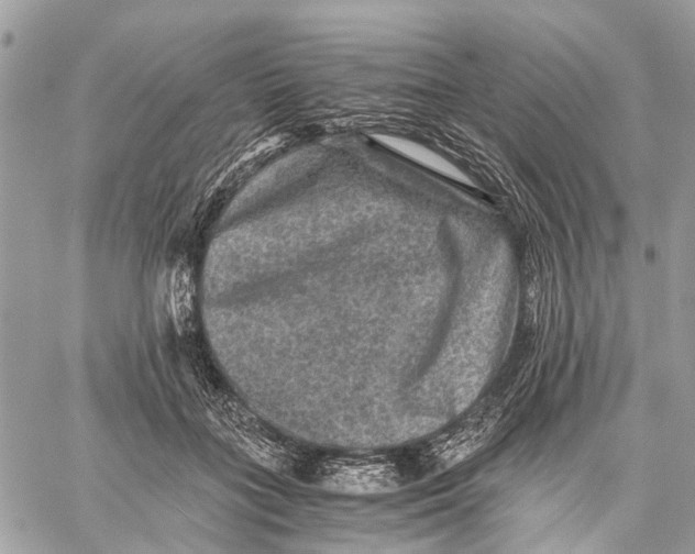 X0000058760555200510211700