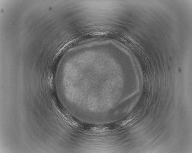 X0000058760556200510211700