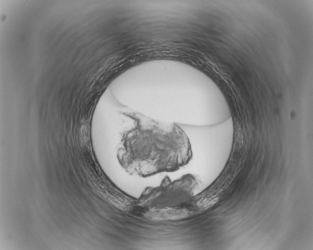 X0000058760557200510211700