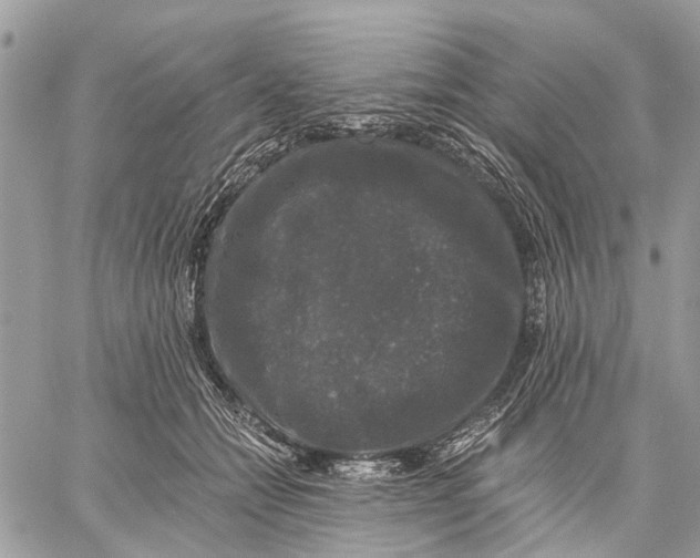 X0000058760558200510211700