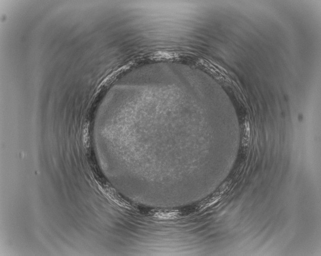 X0000058760560200510211700