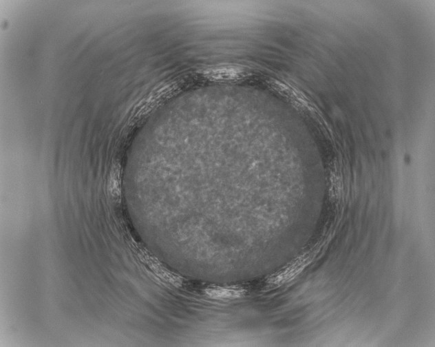 X0000058760561200510211700