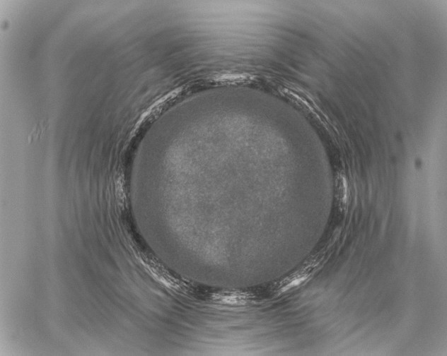 X0000058760564200510211700