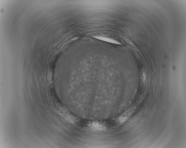 X0000058760565200510211700