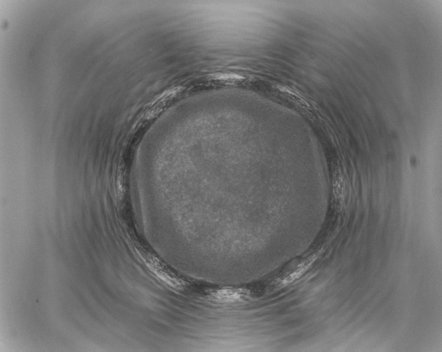 X0000058760566200510211700