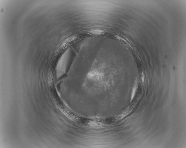 X0000058760568200510211700