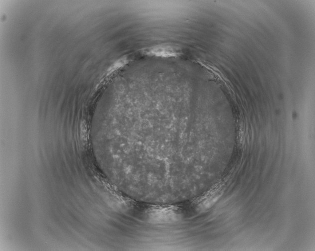 X0000058760569200510211700