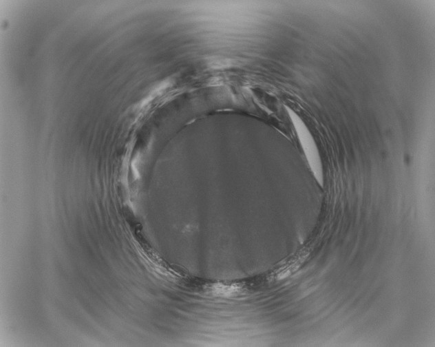 X0000058760570200510211700