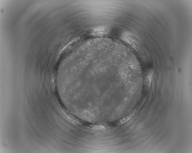 X0000058760572200510211700