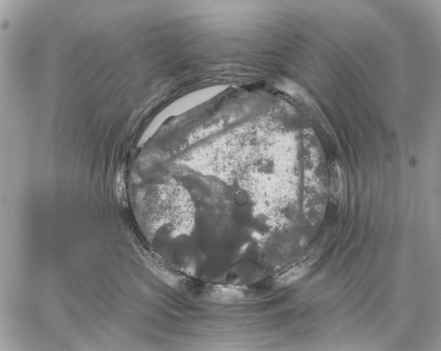 X0000058760573200510211700