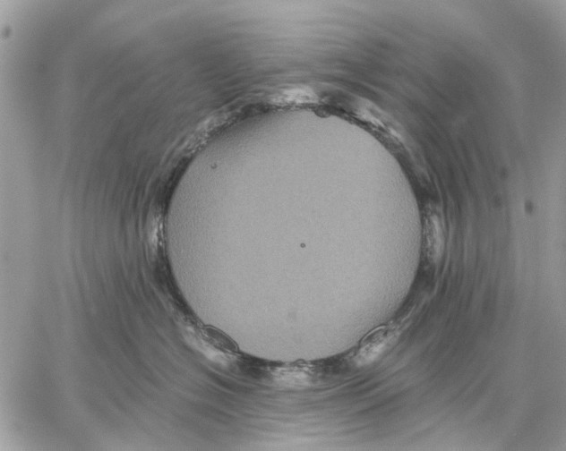 X0000058760574200510211700