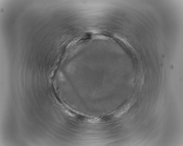 X0000058760576200510211701