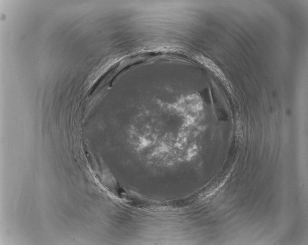 X0000058760577200510211700