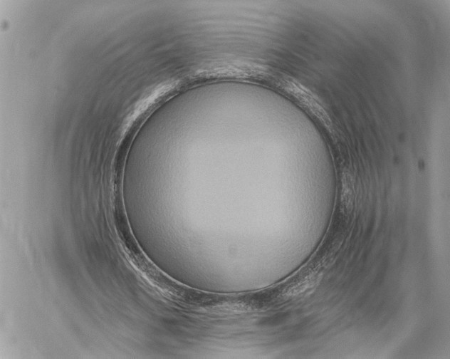 X0000058760578200510211700