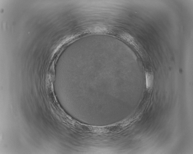 X0000058760579200510211700