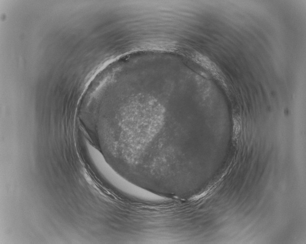 X0000058760580200510211700