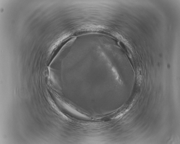 X0000058760581200510211700