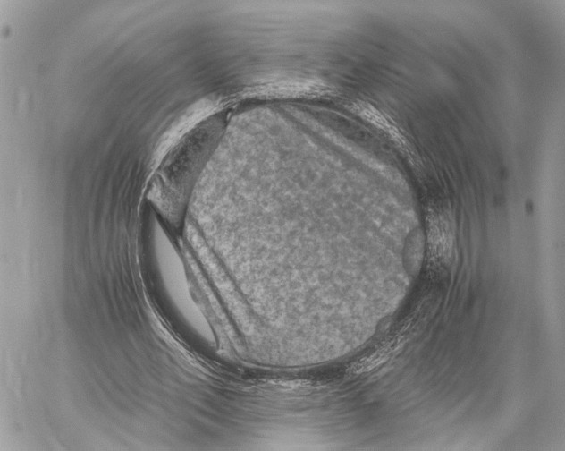 X0000058760582200510211700