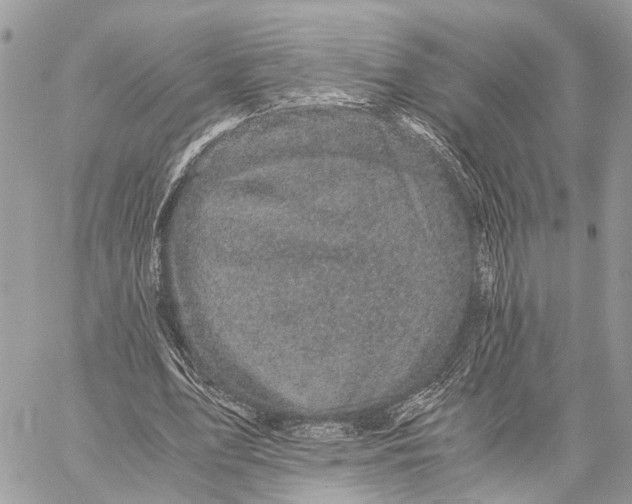 X0000058760583200510211700