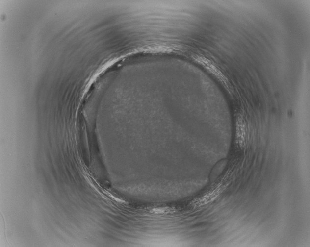 X0000058760584200510211700