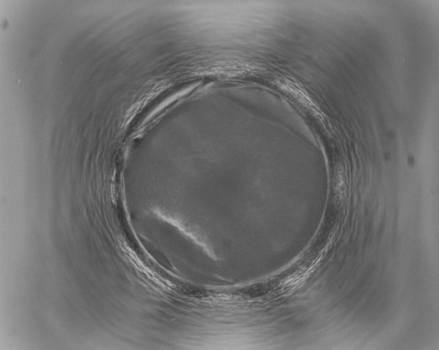 X0000058760585200510211700