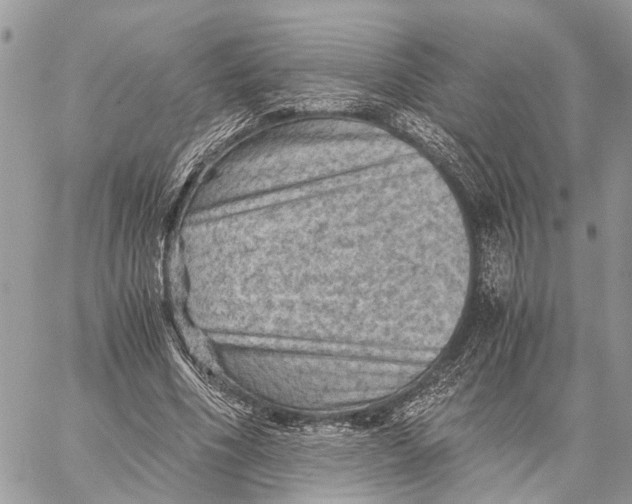 X0000058760586200510211700