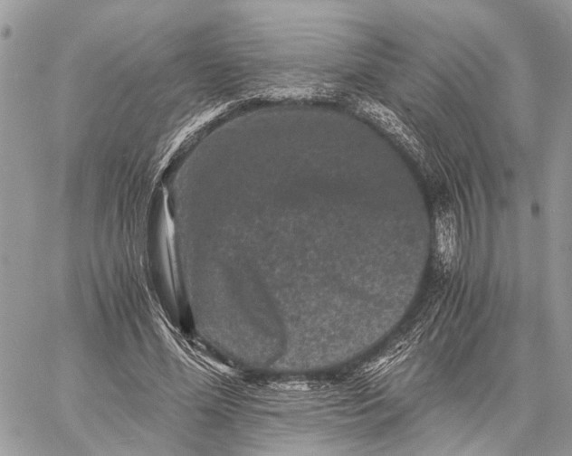 X0000058760588200510211700