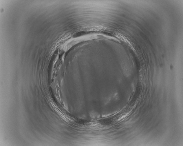 X0000058760589200510211700