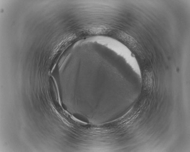 X0000058760590200510211700