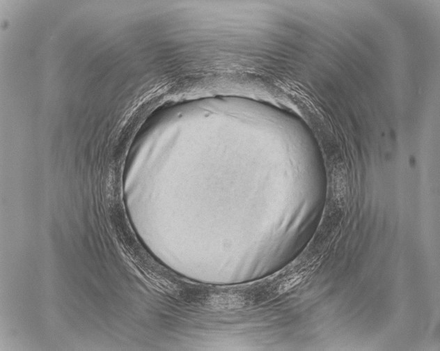 X0000058760591200510211659