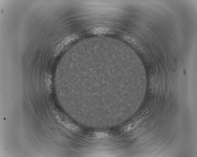 X0000058760592200510211659