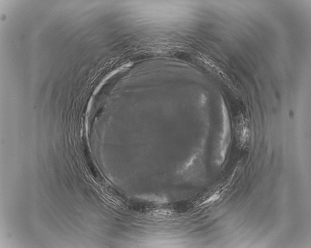 X0000058760593200510211659