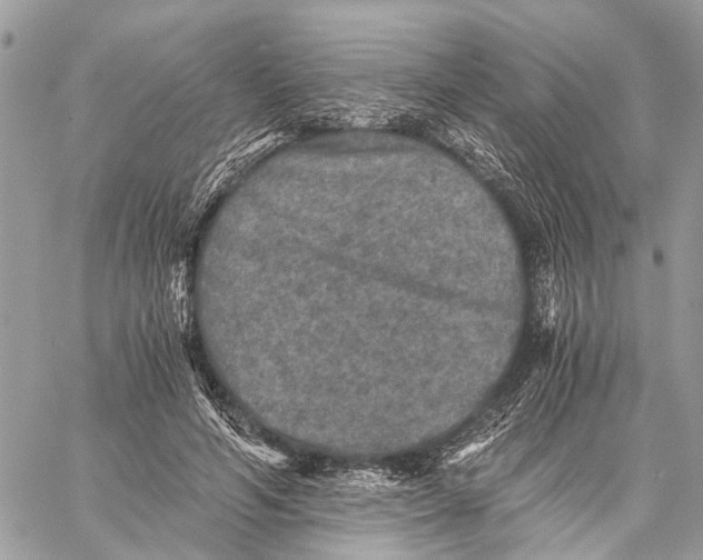 X0000058760594200510211659