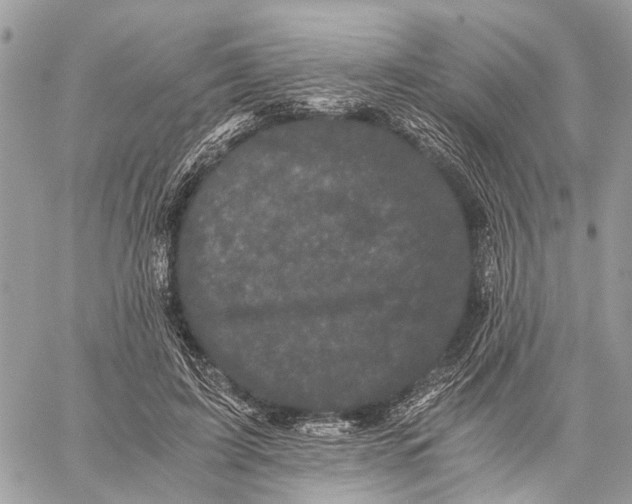 X0000058760595200510211659