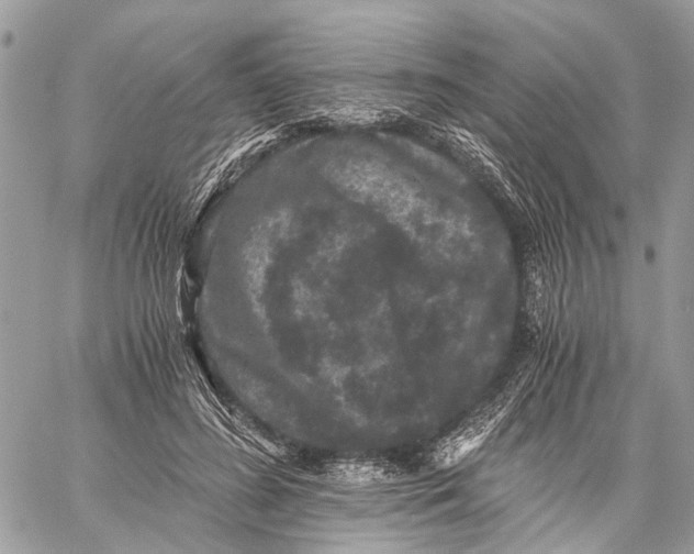 X0000058760596200510211659