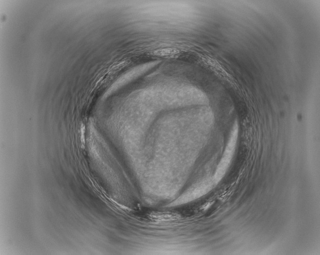 X0000058760597200510211659